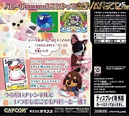 Image n° 2 - boxback : Wantame Uranai Channel